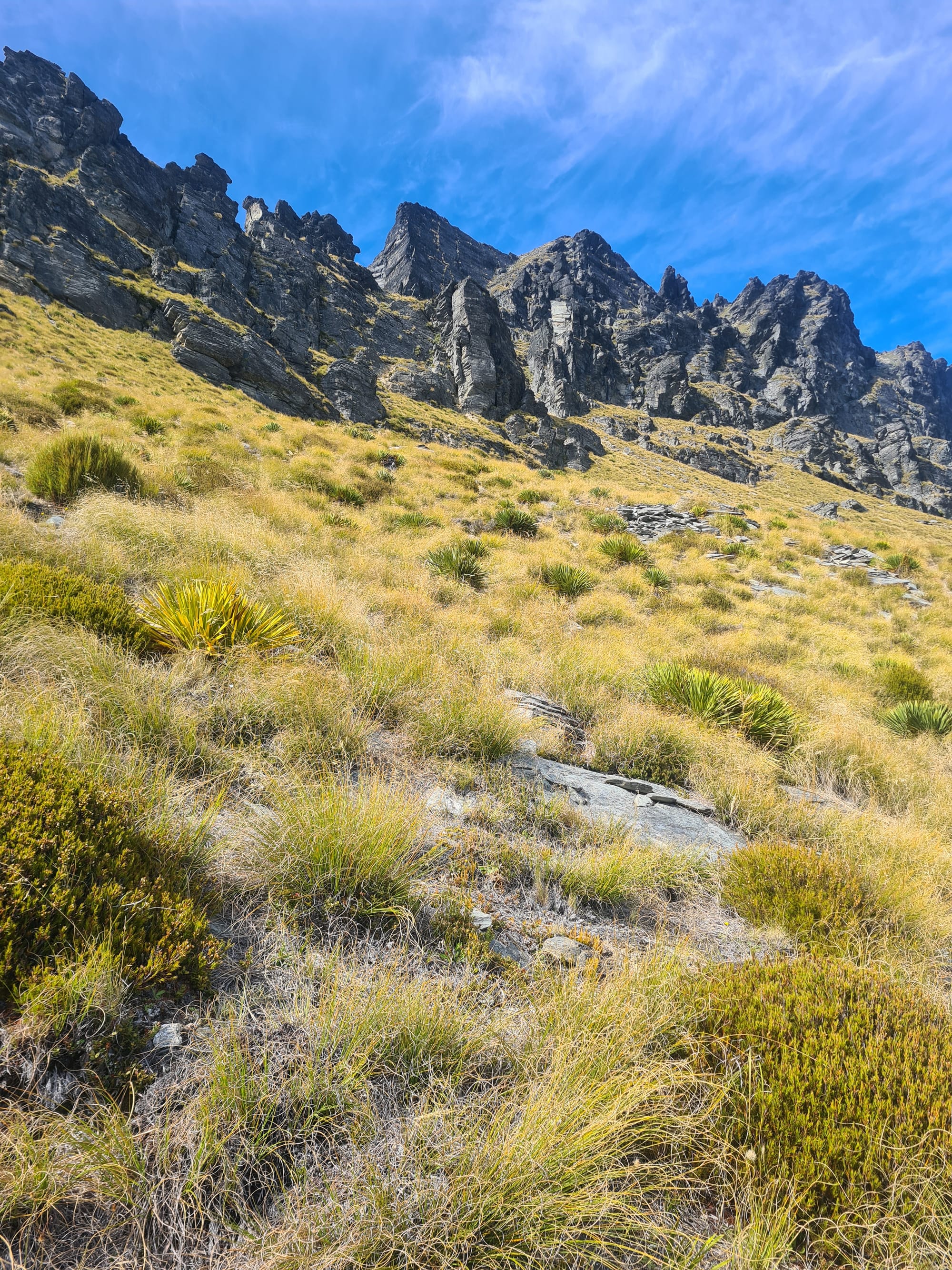 Walter Peak Hike