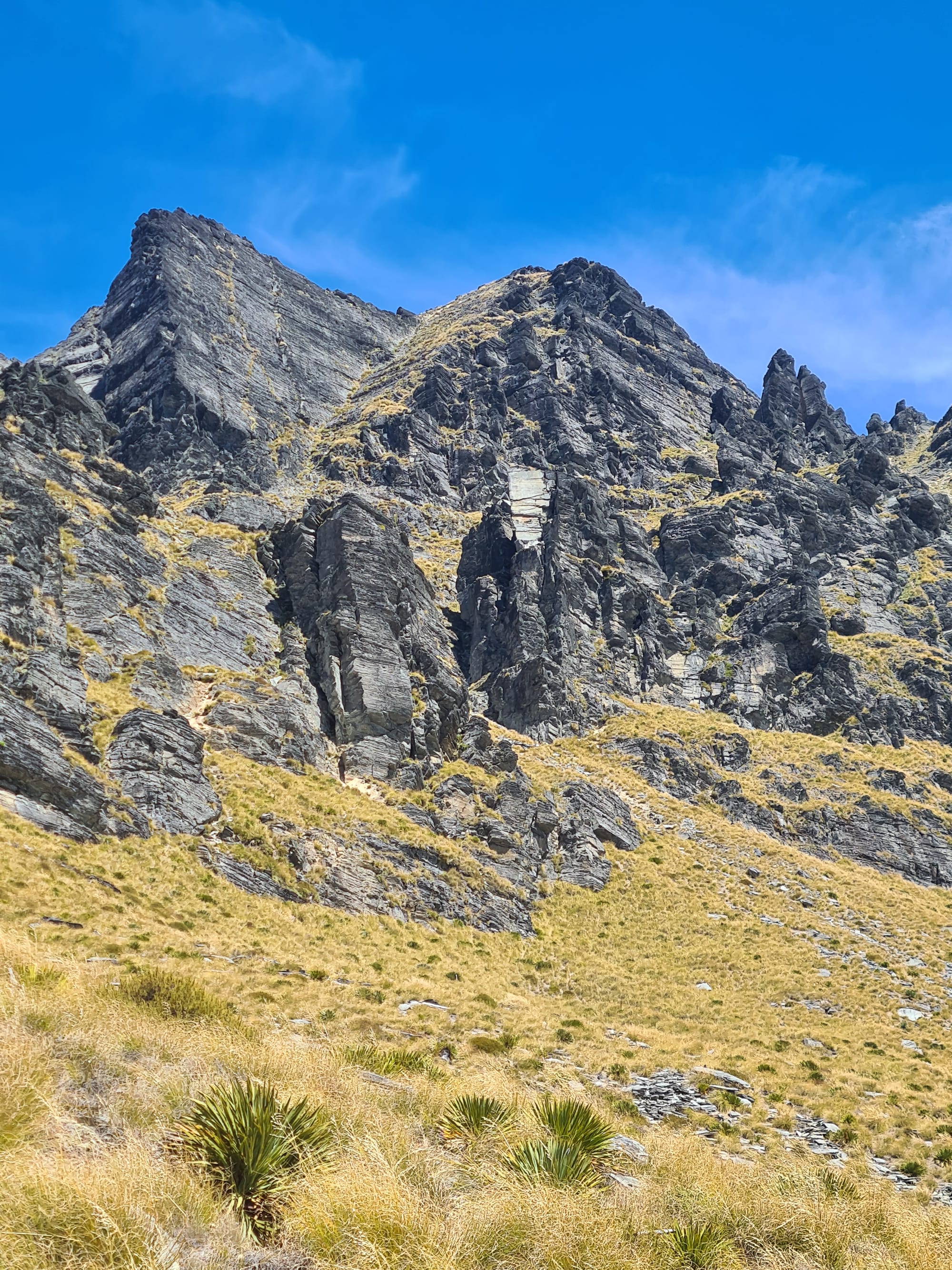 Walter Peak Hike