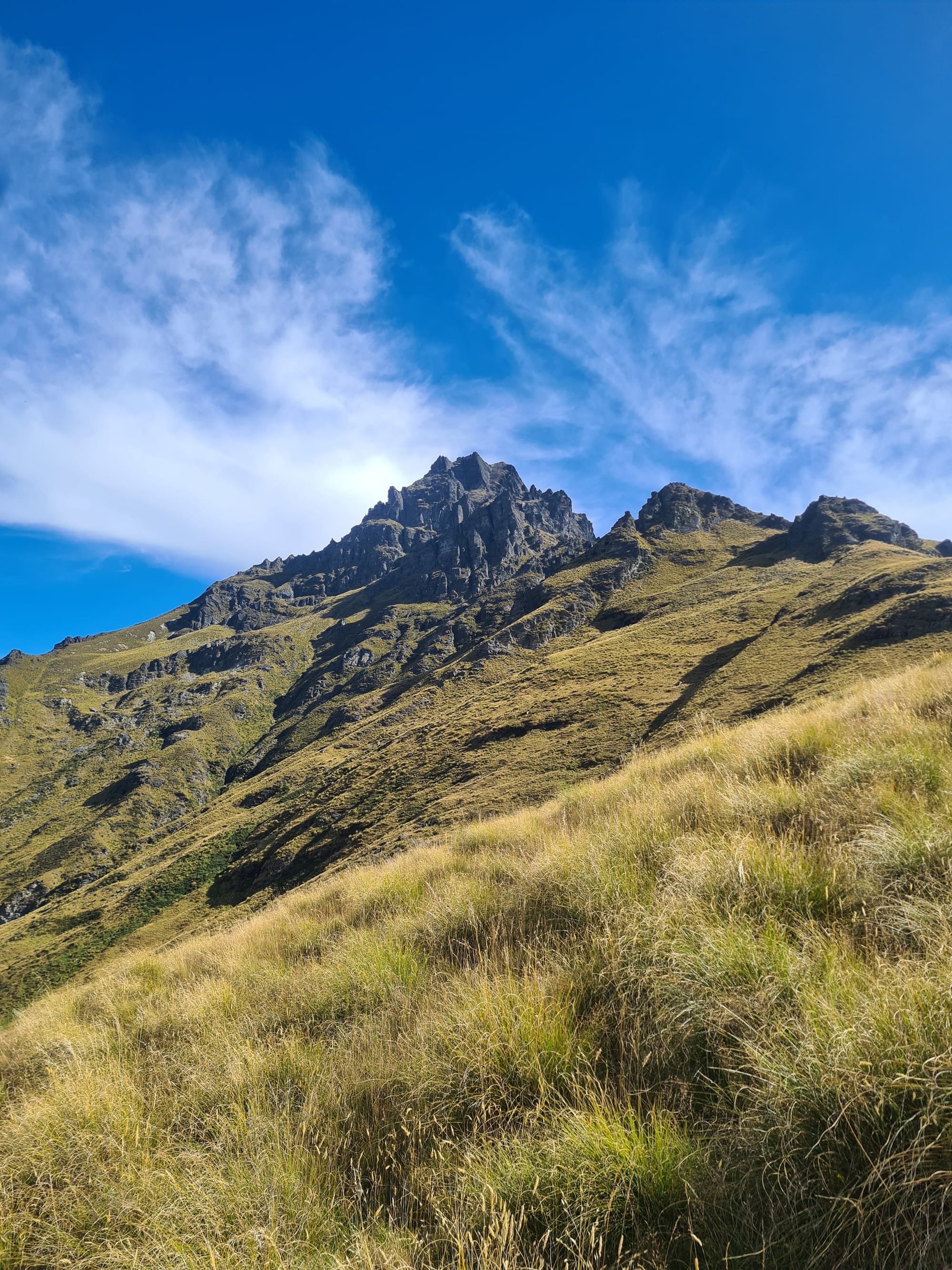 Walter Peak Hike