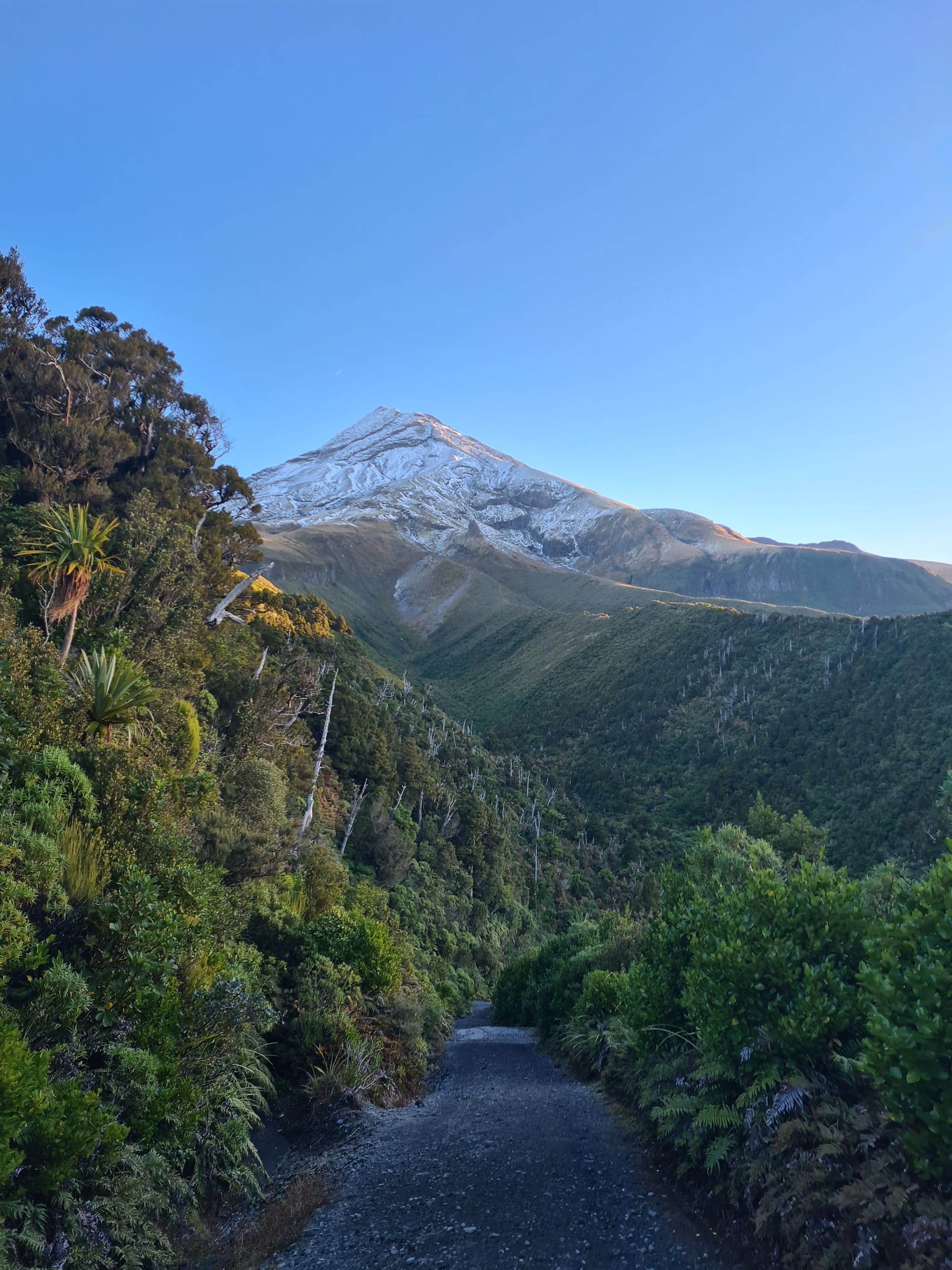 Hike up Mount Taranaki